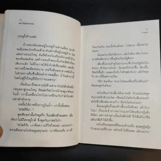 ดอกไม้และสายลม - วาวแพร รูปที่ 13