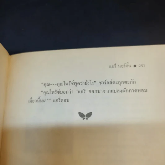 ปุ่มเตียงวิเศษ - แมรี่ นอร์ตั้น รูปที่ 13