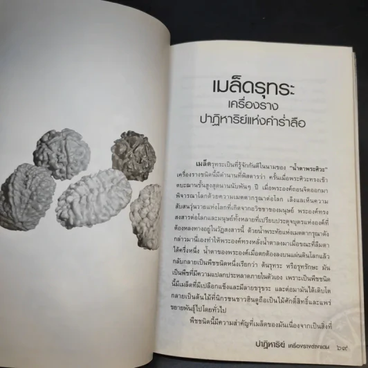 ปาฏิหาริย์เครื่องรางต่างแดน - จตุรวิทย์ รูปที่ 12