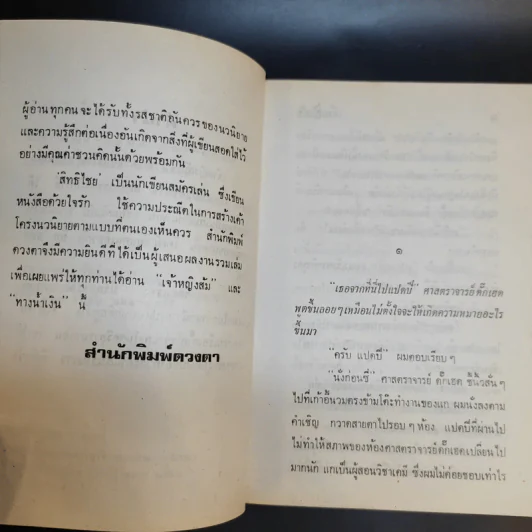 เจ้าหญิงส้ม - สิทธิไชย รูปที่ 10