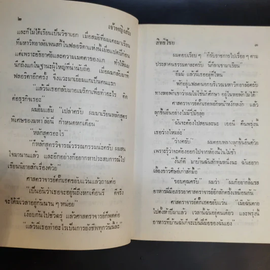 เจ้าหญิงส้ม - สิทธิไชย รูปที่ 11