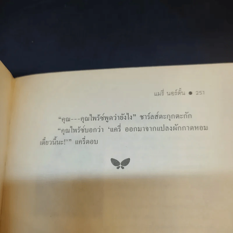 ปุ่มเตียงวิเศษ - แมรี่ นอร์ตั้น รูปที่ 13