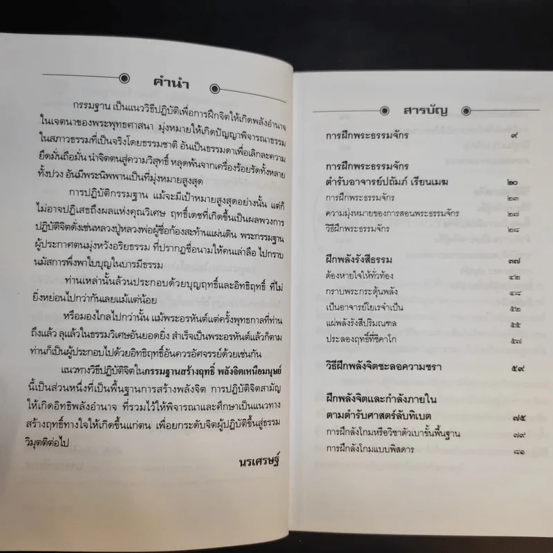 กรรมฐานสร้างฤทธิ์ พลังจิตเหนือมนุษย์ - นรเศรษฐ์ รูปที่ 10