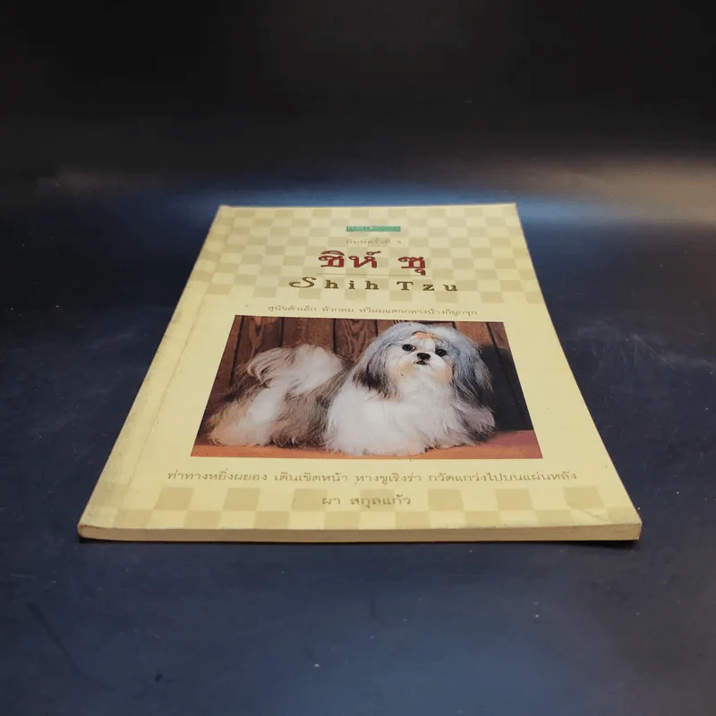 ชิห์ ซุ Shih Tzu - ผา สกุลแก้ว รูปที่ 4