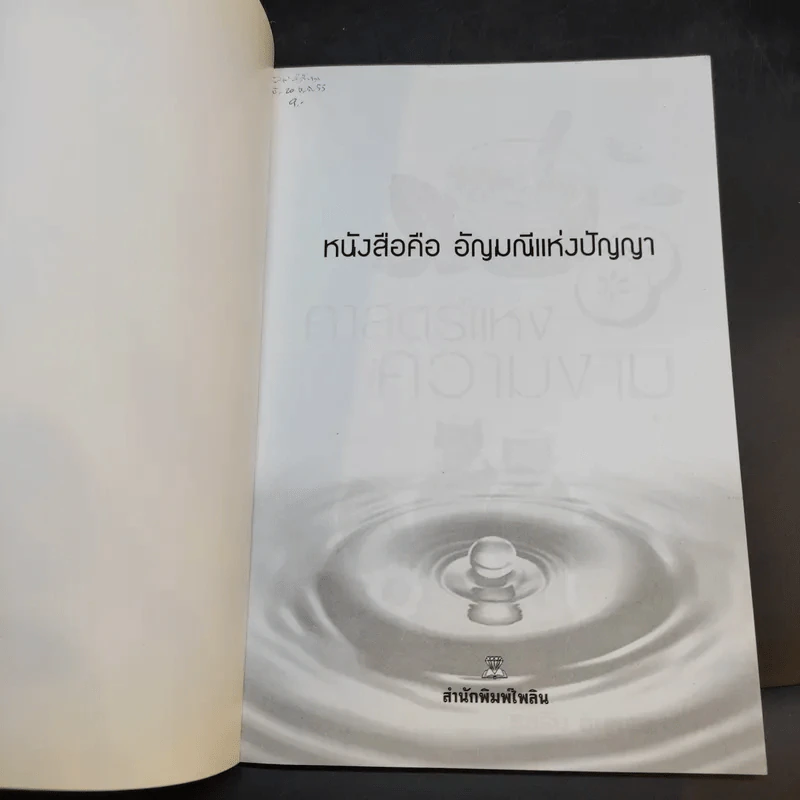 ศาสตร์แห่งความงาม - รสริน อินทรนุกูลการ รูปที่ 8