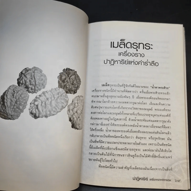 ปาฏิหาริย์เครื่องรางต่างแดน - จตุรวิทย์ รูปที่ 12