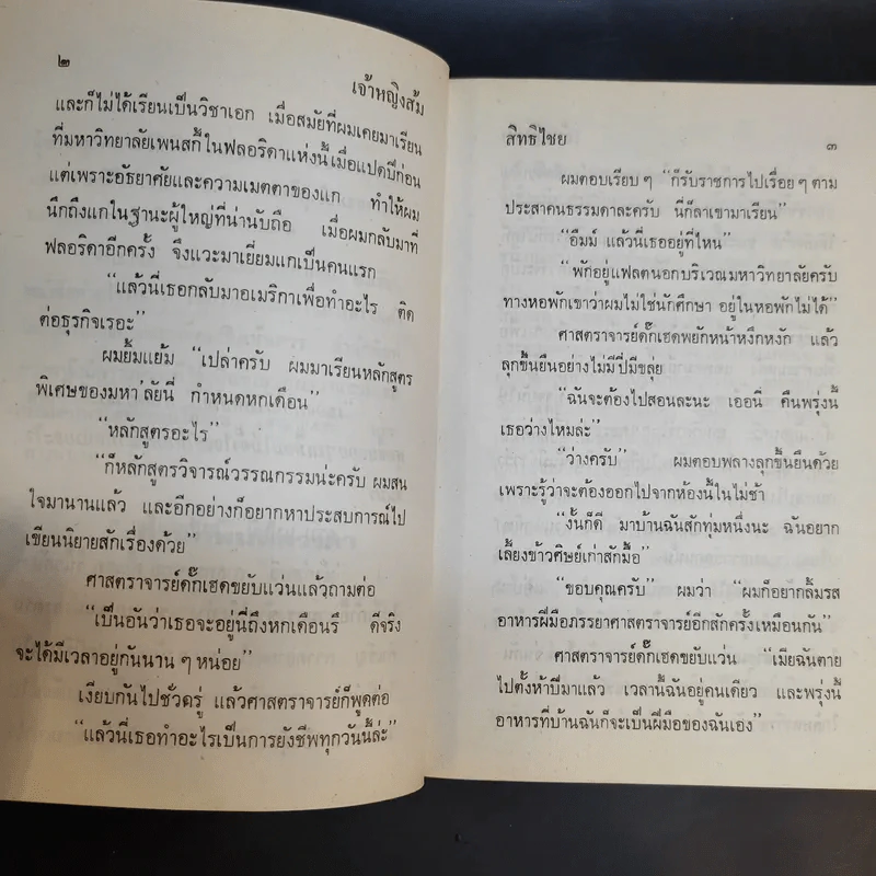 เจ้าหญิงส้ม - สิทธิไชย รูปที่ 11
