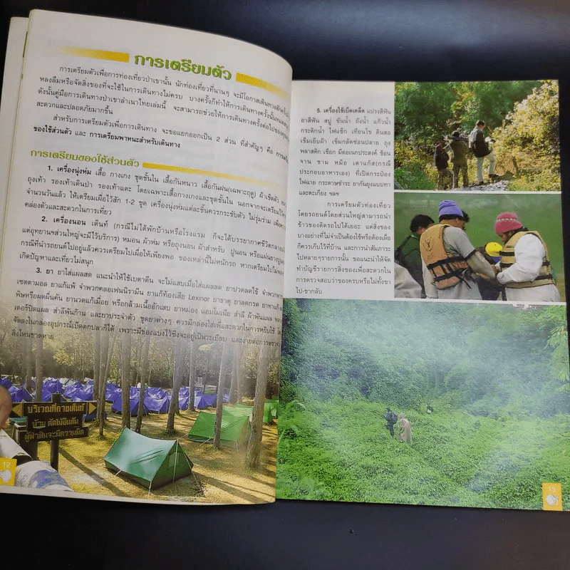 อะเมซิ่งป่าเขาลำเนาไทย รูปที่ 12