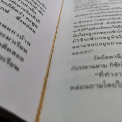 แรงลมหวน - จามรี พรรณชมพู รูปที่ 11
