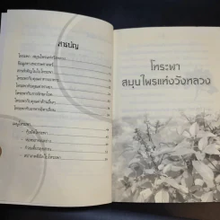 ใบโหระพา ไม่สิ้นศรัทธา ยาสมุนไพรอมตะไทย - นพ.ปัญญา ไพศาลอนันต์ รูปที่ 10
