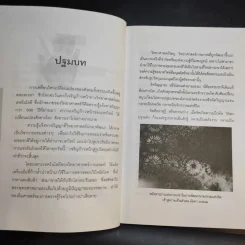 รู้โรคร้ายจากปลายเล็บ - ชีวเวทย์ รูปที่ 11