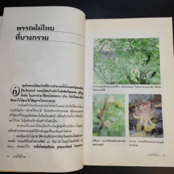 เสน่ห์ไม้ไทย - เสาวลักษณ์ สุขสมัย รูปที่ 15