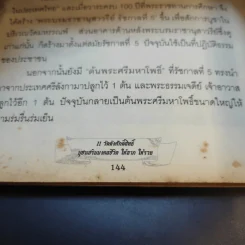 11 วัดดังศักดิ์สิทธิ์ บูชาเสริมมงคลชีวิต ให้ลาภ ให้รวย - บุญชัย ใจเย็น รูปที่ 13