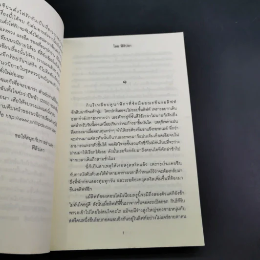 ดั่งไฟพิศวาส - ฟีลิปดา รูปที่ 12