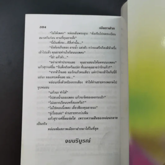 เมียกาฝาก - นลิน บุษกร รูปที่ 11