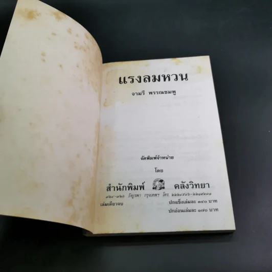 แรงลมหวน - จามรี พรรณชมพู รูปที่ 7