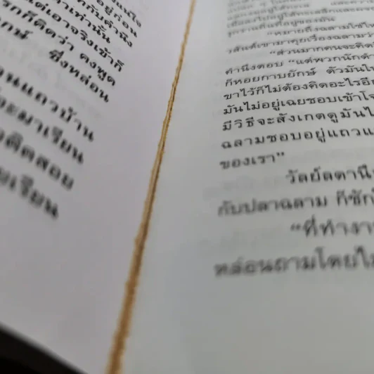 แรงลมหวน - จามรี พรรณชมพู รูปที่ 11