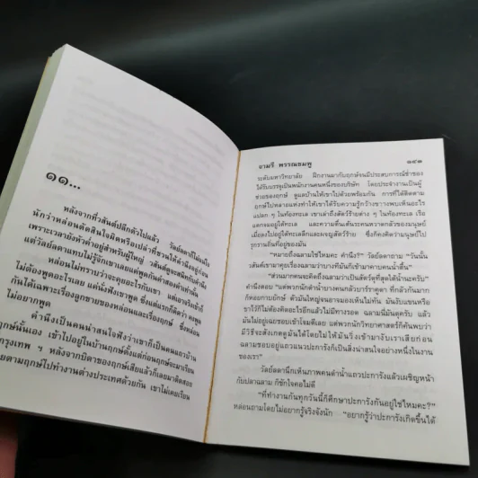 แรงลมหวน - จามรี พรรณชมพู รูปที่ 10