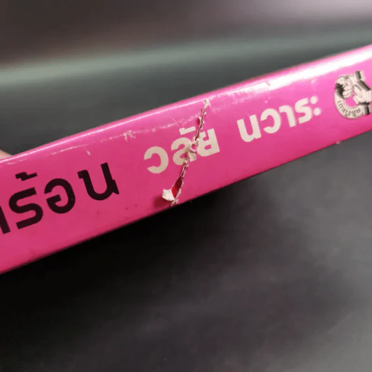 วิวาห์หน้าร้อน - วลัย นวาระ รูปที่ 7