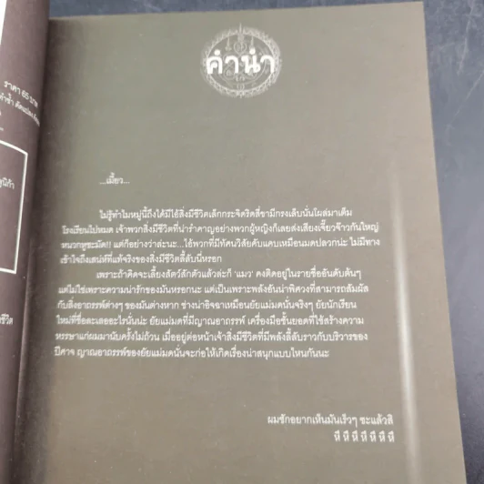 การิน ปริศนาคดีอาถรรพ์ คดีที่ 6 บทจบ : กวีวิฬารอาฆาต รูปที่ 9