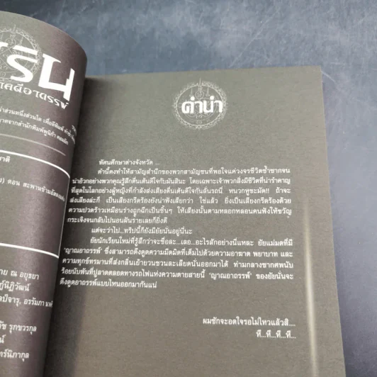 การิน ปริศนาคดีอาถรรพ์ คดีที่ 5 บทกลาง : สะพานข้ามอัสดงแห่งความตาย รูปที่ 9
