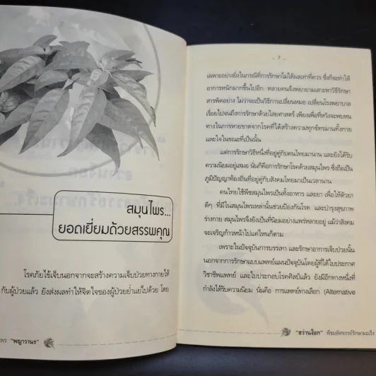 พญาวานร ฮว่านง็อก พืชมหัศจรรย์รักษามะเร็ง รูปที่ 11