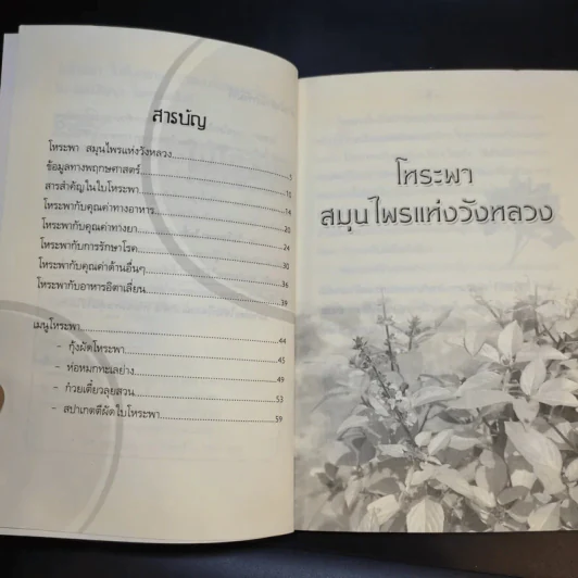 ใบโหระพา ไม่สิ้นศรัทธา ยาสมุนไพรอมตะไทย - นพ.ปัญญา ไพศาลอนันต์ รูปที่ 10