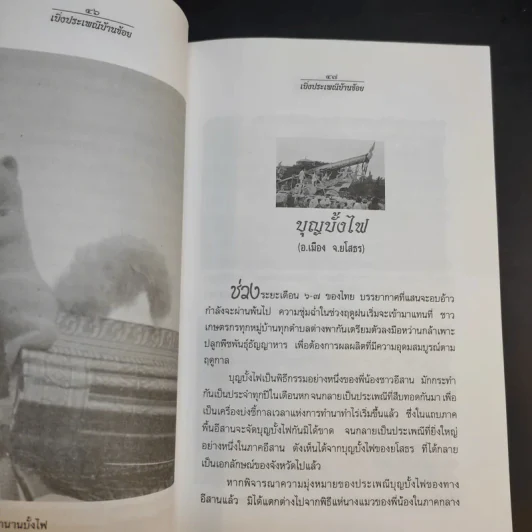 เบิ่งประเพณีบ้านข้อย - เจริญ ตันมหาพราน รูปที่ 12