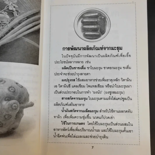 สมุนไพรคู่มหัศจรรย์ ยอ-มะรุม รูปที่ 11