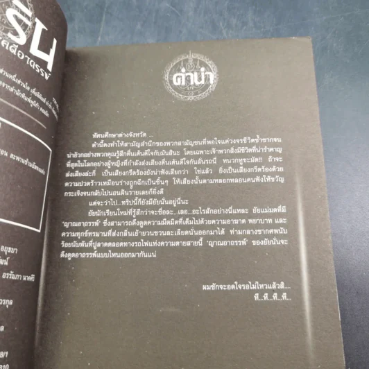 การิน ปริศนาคดีอาถรรพ์ คดีที่ 5 บทกลาง : สะพานข้ามอัสดงแห่งความตาย รูปที่ 9