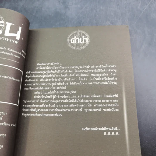การิน ปริศนาคดีอาถรรพ์ คดีที่ 5 บทกลาง : สะพานข้ามอัสดงแห่งความตาย รูปที่ 9