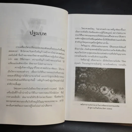รู้โรคร้ายจากปลายเล็บ - ชีวเวทย์ รูปที่ 11