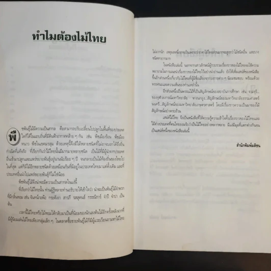 เสน่ห์ไม้ไทย - เสาวลักษณ์ สุขสมัย รูปที่ 14