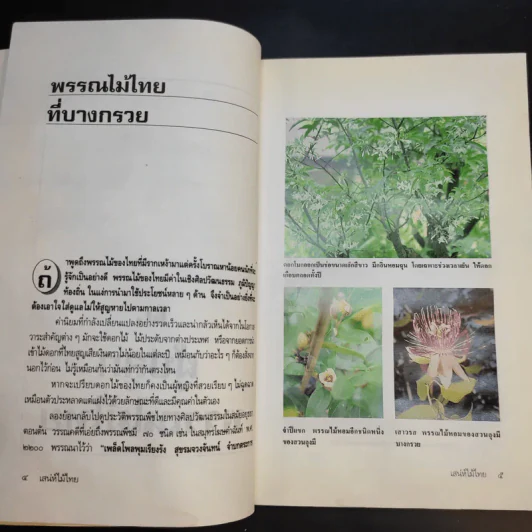 เสน่ห์ไม้ไทย - เสาวลักษณ์ สุขสมัย รูปที่ 15