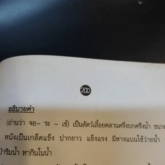 ย่ำต๊อกลาดกระบัง รูปที่ 14
