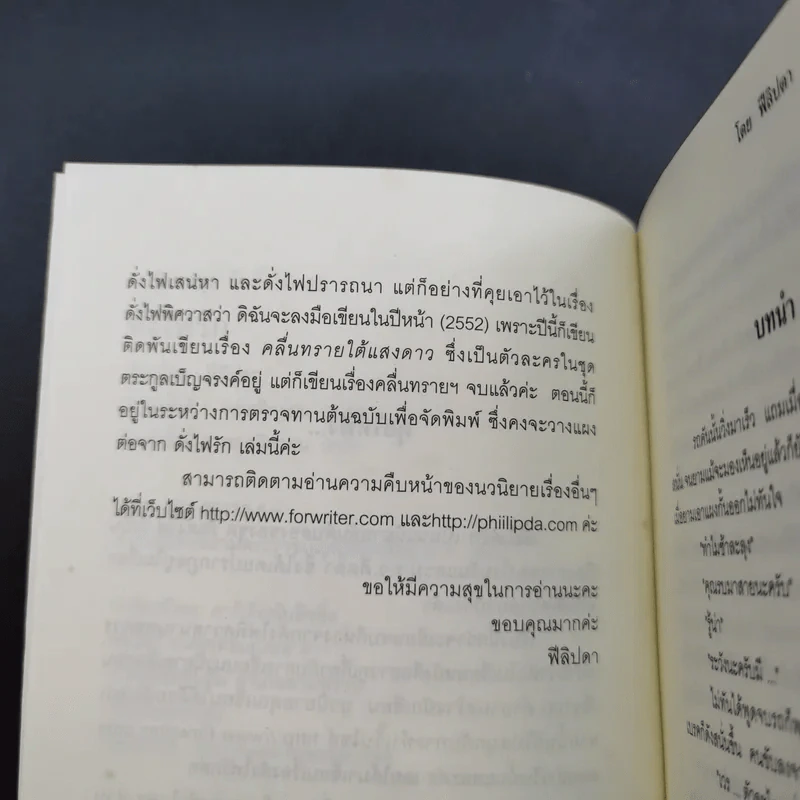 ดั่งไฟรัก - ฟีลิปดา รูปที่ 11