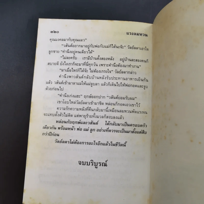 แรงลมหวน - จามรี พรรณชมพู รูปที่ 12