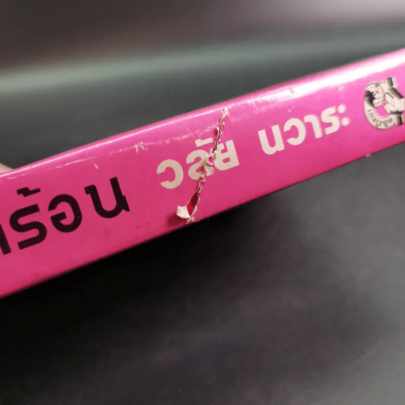 วิวาห์หน้าร้อน - วลัย นวาระ รูปที่ 7
