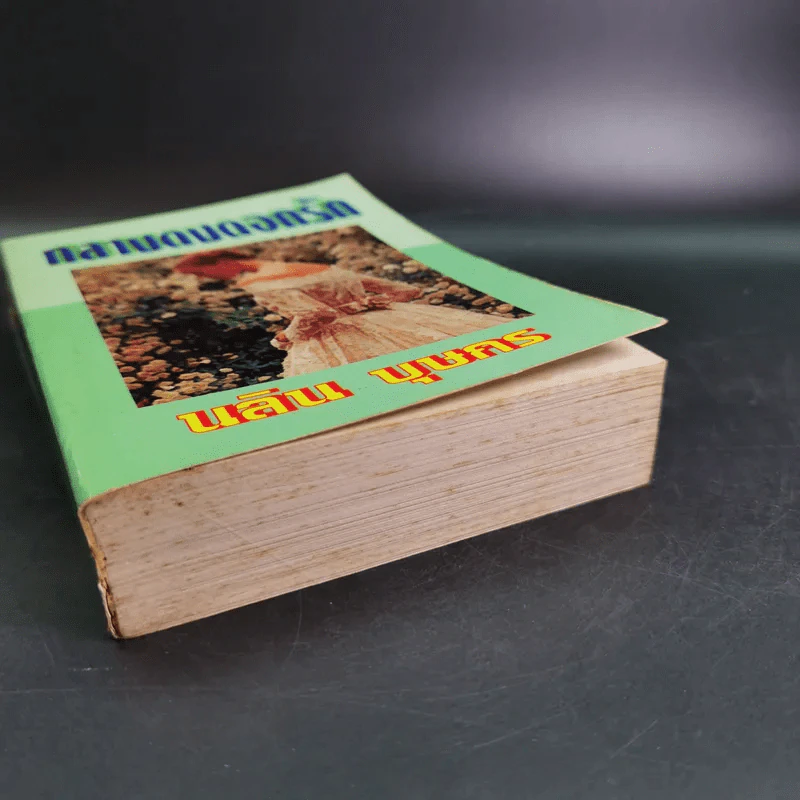 กลางดงดอกรัก - นลิน บุษกร รูปที่ 4