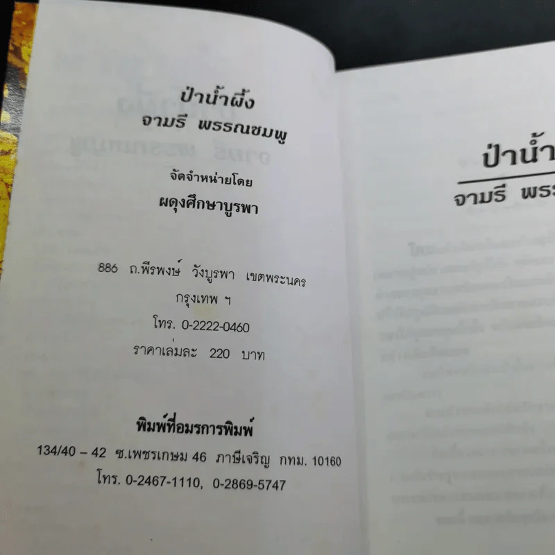 ป่าน้ำผึ้ง - จามรี พรรณชมพู รูปที่ 7