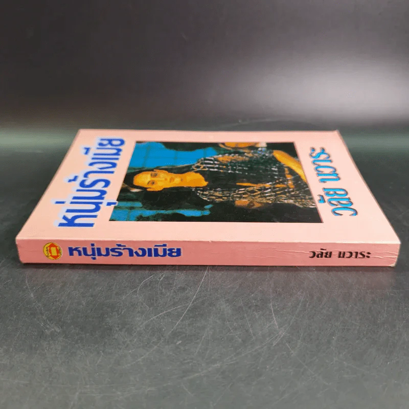 หนุ่มร้างเมีย - วลัย นวาระ รูปที่ 3