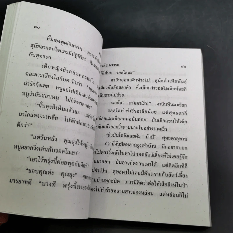 หนุ่มร้างเมีย - วลัย นวาระ รูปที่ 9