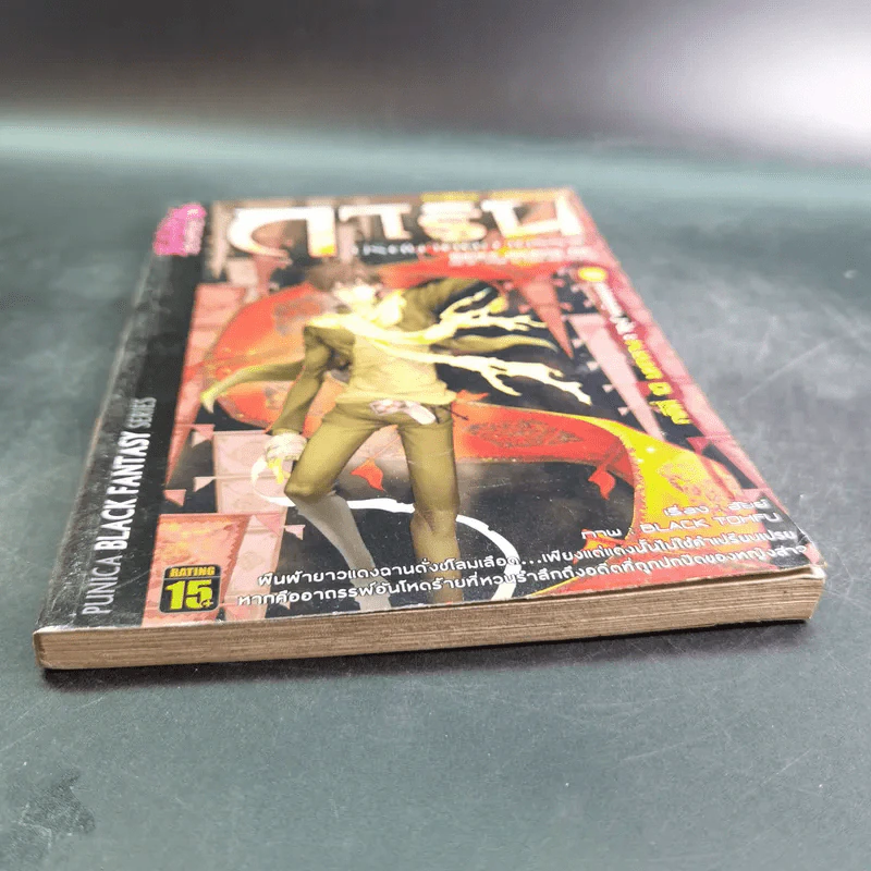การิน ปริศนาคดีอาถรรพ์ คดีที่ 10 บทกลาง : ตุง หนังมนุษย์ รูปที่ 4