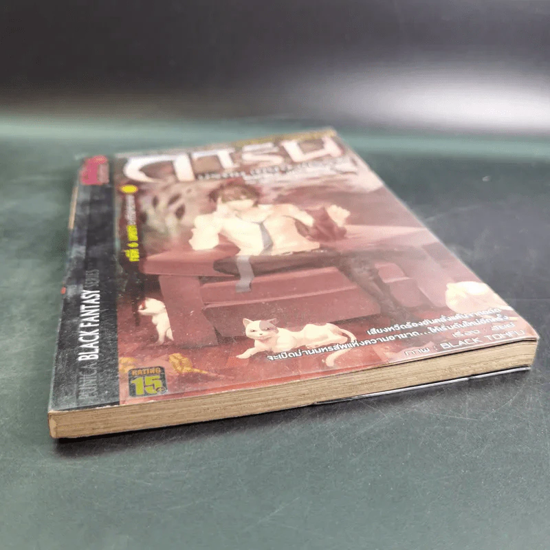 การิน ปริศนาคดีอาถรรพ์ คดีที่ 6 บทแรก : กวีวีฬาร์อาฆาต รูปที่ 5