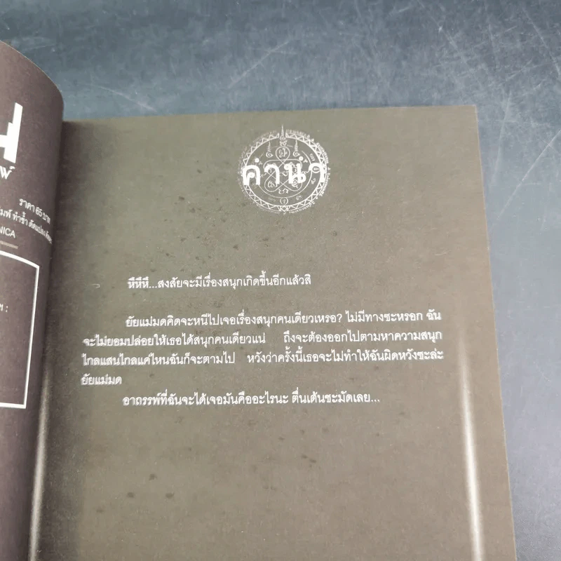 การิน ปริศนาคดีอาถรรพ์ คดีที่ 10 บทกลาง : ตุงหนังมนุษย์ รูปที่ 10