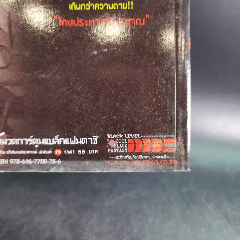 การิน ปริศนาคดีอาถรรพ์ คดีที่ 11 บทจบ : โทษประหารวิญญาณ รูปที่ 3