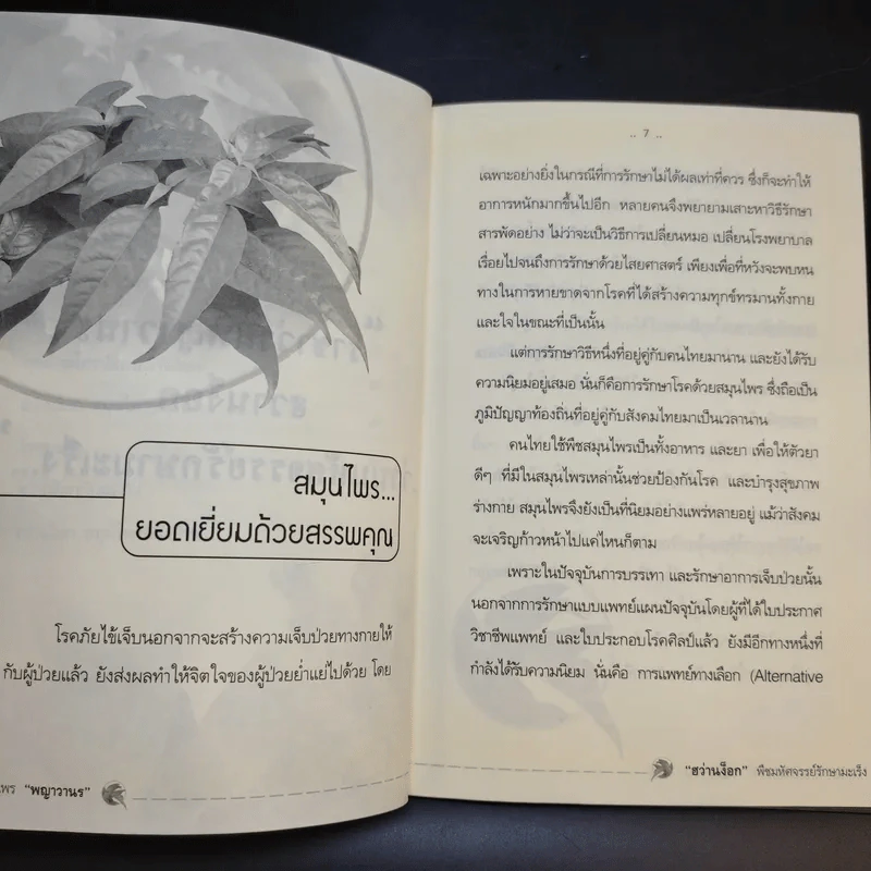 พญาวานร ฮว่านง็อก พืชมหัศจรรย์รักษามะเร็ง รูปที่ 11