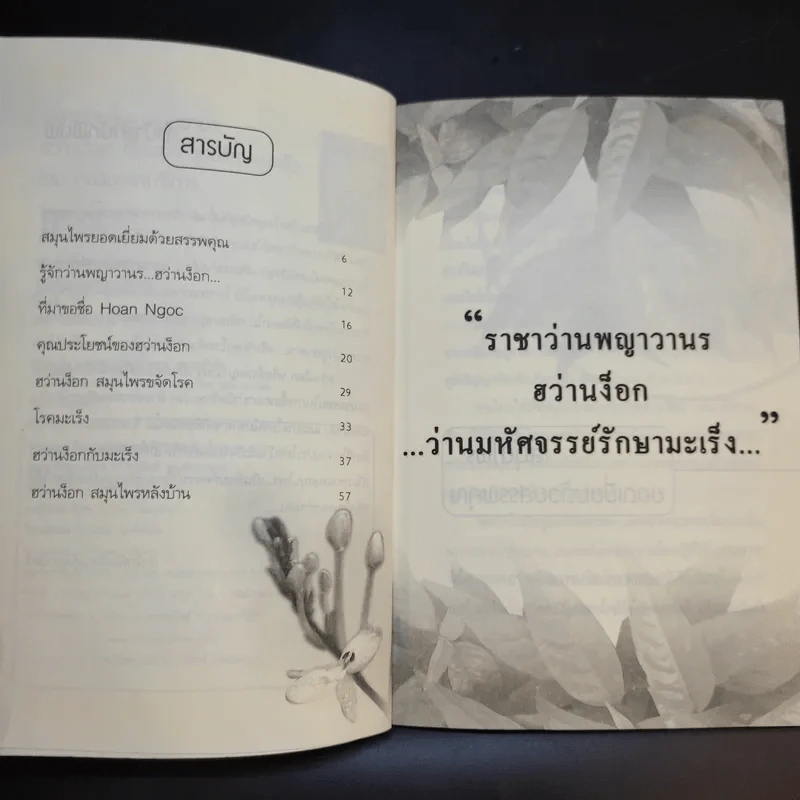 พญาวานร ฮว่านง็อก พืชมหัศจรรย์รักษามะเร็ง รูปที่ 10