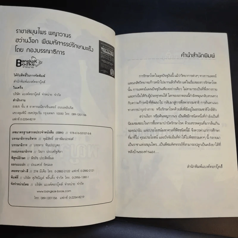 พญาวานร ฮว่านง็อก พืชมหัศจรรย์รักษามะเร็ง รูปที่ 9