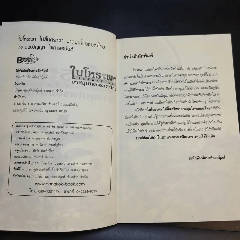 ใบโหระพา ไม่สิ้นศรัทธา ยาสมุนไพรอมตะไทย - นพ.ปัญญา ไพศาลอนันต์ รูปที่ 9